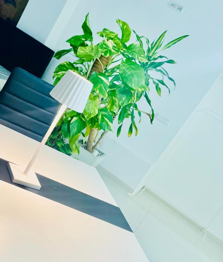 הוילה Loft טרצ'ינה מראה חיצוני תמונה