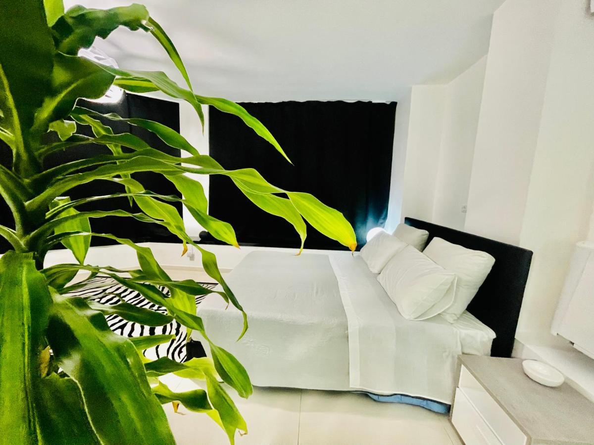 הוילה Loft טרצ'ינה מראה חיצוני תמונה